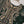 Load image into Gallery viewer, Rang Rasiya luxury Mehndi collection vol 2 MS-04

