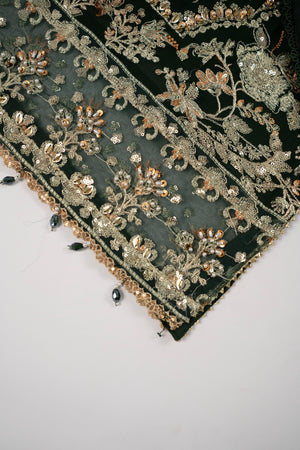 Rang Rasiya Collection New Arrival JB-02