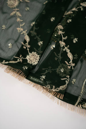 Rang Rasiya Collection New Arrival JB-02