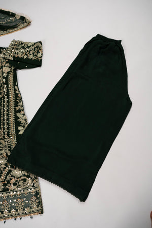 Rang Rasiya Collection New Arrival JB-02