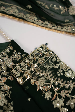 Rang Rasiya Collection New Arrival JB-02