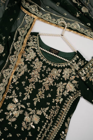 Rang Rasiya Collection New Arrival JB-02