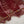 Load image into Gallery viewer, Dastaan Exclusive Branded Organza Collection MP-01
