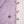 Load image into Gallery viewer, shagun exclusive farshi shalwar ck-010
