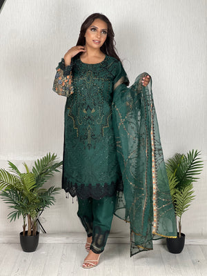 RANI BY SHAGUN FESTIVAL COLLECTION