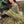 PRE ORDER (READY IN 10 WEEKS) MEHNDI GARARA 3PCS DRESS