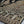 Load image into Gallery viewer, RANGOON- Luxury Organza Ready to Wear - D4
