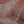 Load image into Gallery viewer, Rozi - Ready to Wear - Luxury Lawn with Organza Dupatta
