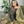 PRE ORDER (READY IN 10 WEEKS) MEHNDI GARARA 3PCS DRESS