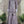 JHALAK BY SHAGUN GARARA 3 PCS